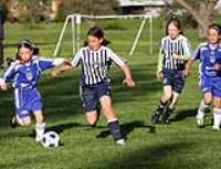 soccer (4)